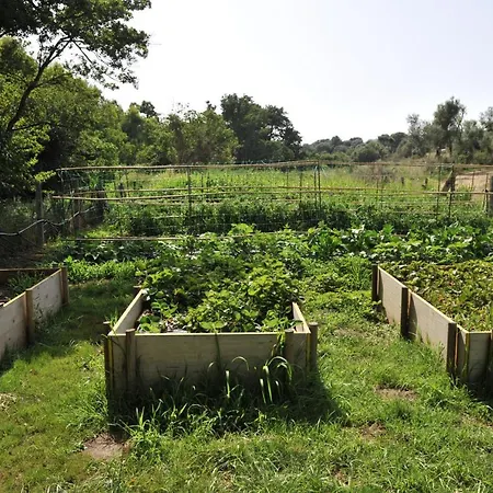 Bed & Breakfast Li Tauli Arzachena