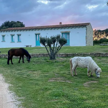 Li Tauli * Arzachena