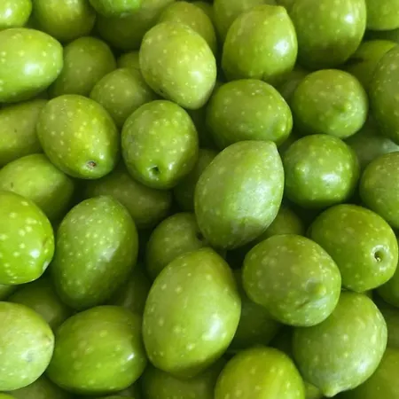 Li Tauli Bed & Breakfast 3*