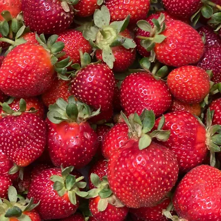 Li Tauli Bed & Breakfast 3*