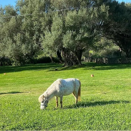 Li Tauli ベッド・アンド・ブレックファスト