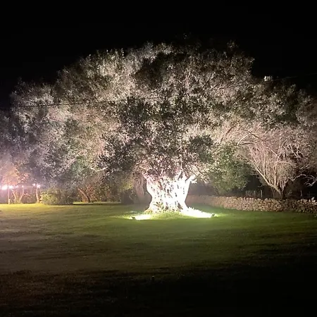 Li Tauli فندق مبيت وإفطار 3*