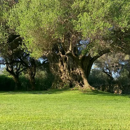 فندق مبيت وإفطار Li Tauli