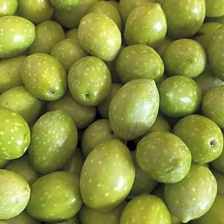 فندق مبيت وإفطار Li Tauli 3*