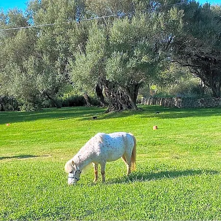 Li Tauli فندق مبيت وإفطار