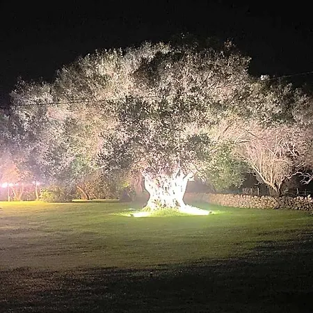 فندق مبيت وإفطار Li Tauli 3*